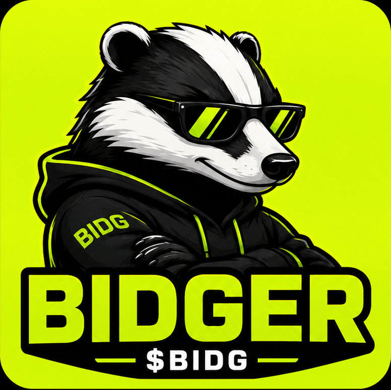 Bidger in a black hoodie and sunglasses